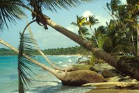Sea veiw of the Hotel CASA ROBINSON - Las Terrenas - Dominican Republic
